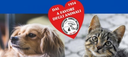 raccolta-di-cibo-per-gli-animali-in-ucraina