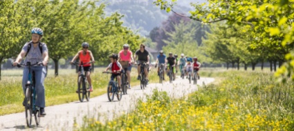domenica-torna-slowup-tra-bellinzona-e-locarno