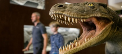 meride-il-museo-dei-fossili-si-lancia-nella-realta-virtuale