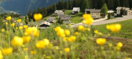 cosa-si-puo-fare-a-casa-per-dare-piu-spazio-alla-natura