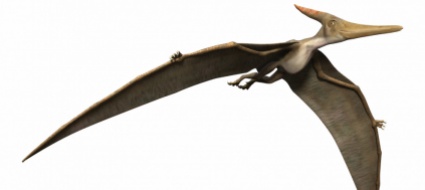 lo-pterosauro-aveva-le-piume-e-ne-sceglieva-i-colori