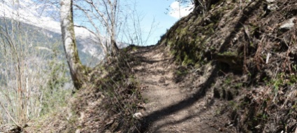 anziano-cade-e-muore-mentre-lavora-al-sentiero-in-montagna
