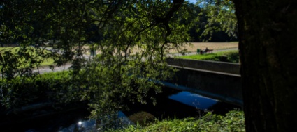 il-parco-del-laveggio-a-cura-di-mendrisio-e-riva-san-vitale
