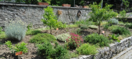la-promozione-della-biodiversita-in-citta-parte-da-bellinzona