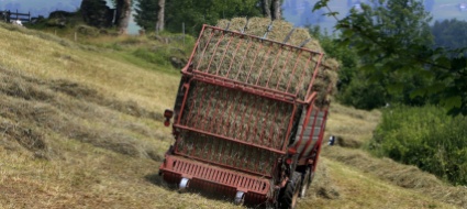 berna-un-29enne-muore-schiacciato-da-una-balla-di-fieno