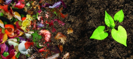 dalla-terra-alla-terra-il-compost-in-agricoltura