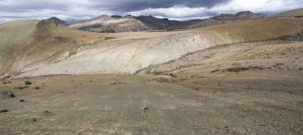 patagonia-dal-ghiaccio-ecco-fiona-femmina-d-ittiosauro-incinta