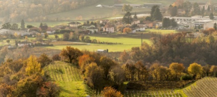 valle-muggio-progetti-in-4-punti-dai-formaggini-al-macello