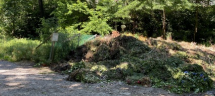 l-aula-nel-bosco-si-ma-non-a-scapito-della-discarica-del-verde