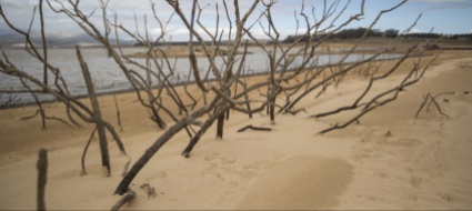 desertificazione-e-siccita