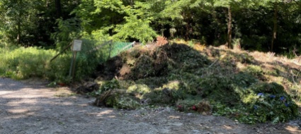 pedemonte-il-cc-non-entra-per-ora-nell-aula-nel-bosco