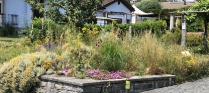 quel-giardino-lasciato-a-se-stesso-che-racchiude-la-vita