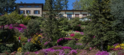 carona-lascia-la-gerente-del-ristorante-al-parco-san-grato