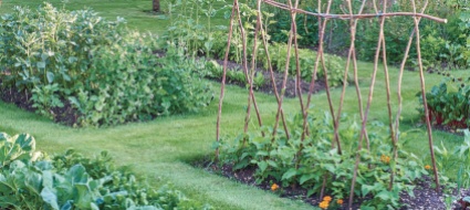 l-orto-nel-giardino-come-quando-e-cosa-coltivare