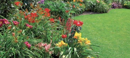 la-manutenzione-del-giardino-in-estate-come-fare
