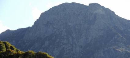 nuova-possibile-predazione-del-lupo-sul-gridone-uccise-6-pecore