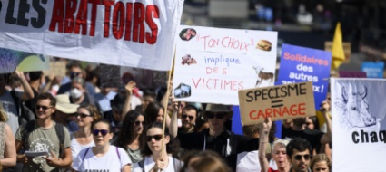 in-300-a-losanna-per-manifestare-a-favore-degli-animali