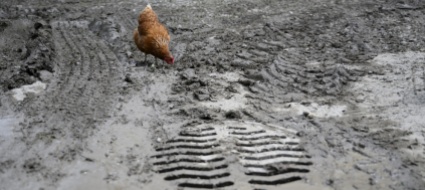 piogge-abbondanti-un-po-dappertutto-meno-pero-in-ticino