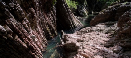 mendrisiotto-turismo-green-lungo-i-parchi-insubrici