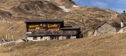 altra-capra-sbranata-stavolta-tocca-all-alpe-grossalp