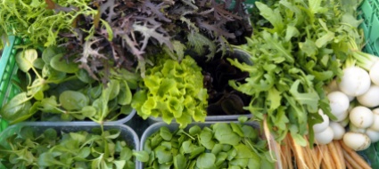 corso-sull-alimentazione-per-persone-con-mobilita-ridotta