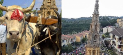 festa-coi-buoi-costretti-a-tirare-l-obelisco-sindaco-diffidato