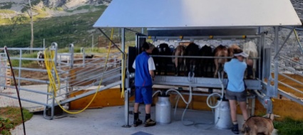 alla-scoperta-della-transumanza-con-il-mercatino-svuotacantine