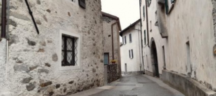 losone-firme-contro-il-traffico-parassitario