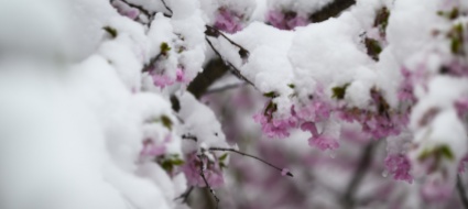 dopo-la-calura-arriva-la-prima-neve-sotto-i-2-000-metri