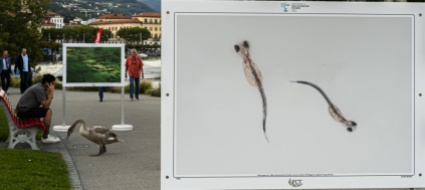 pesca-artigianale-e-acquacoltura-in-una-mostra-itinerante