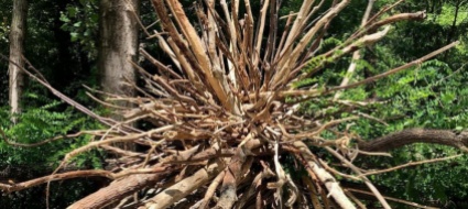 arcegno-land-art-alla-scuola-nel-bosco