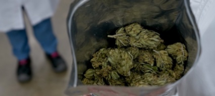 la-citta-di-zurigo-congela-la-cannabis-legale