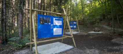 castel-san-pietro-il-percorso-vita-corre-da-mezzo-secolo
