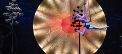 morto-il-regista-dragone-suoi-gli-show-del-cirque-du-soleil