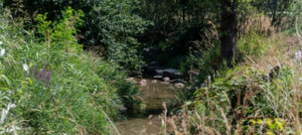 il-laveggio-un-fiume-da-vivere-e-con-meno-asfalto