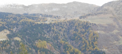 bosco-di-protezione-interventi-su-192-ettari-a-sommascona