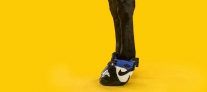 designer-crea-le-prime-scarpe-da-tennis-per-cavalli