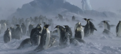 vita-nell-antartico
