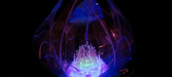 neuroflowers-i-fiori-robotici-controllati-dalla-mente
