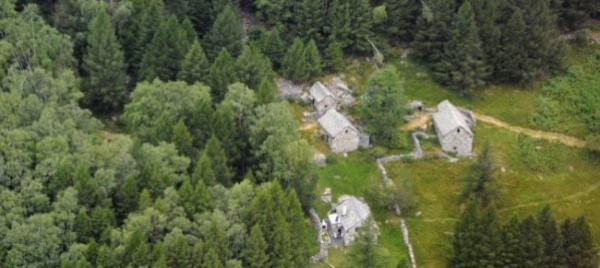 le-antiche-faggete-di-lodano-candidate-al-patrimonio-dell-unesco-assieme-al-ponte-sulla-gola-della-salgina
