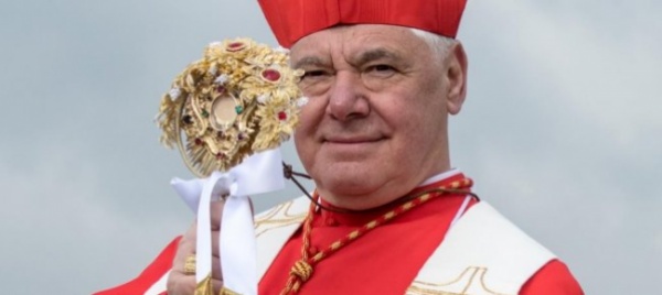 l-ira-del-cardinale-sostituito-dal-papa-trattamento-inaccettabile