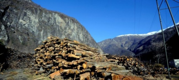 la-biomassa-e-l-energia-del-futuro-lo-dice-un-nuovo-studio-del-istituto-federale-di-ricerca-per-la-foresta-la-neve-e-il-paesaggio