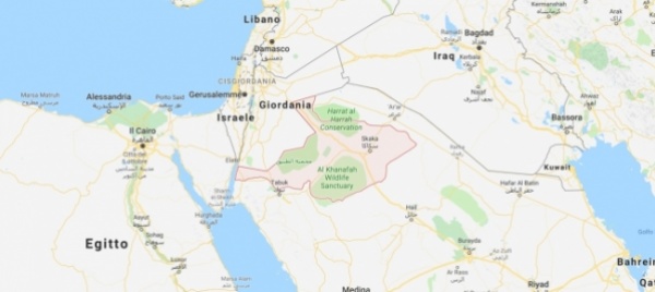 carovana-di-cammelli-scolpita-nella-roccia-in-arabia-saudita