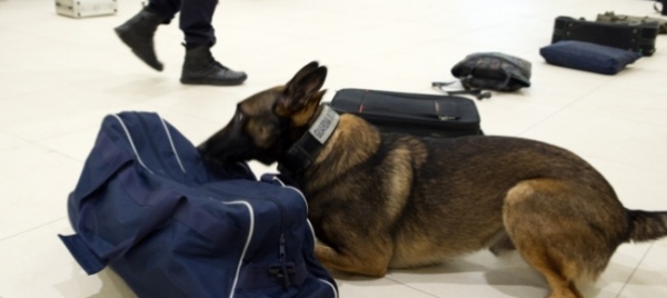 l-ombra-della-ndrangheta-sull-operazione-santa-cruz