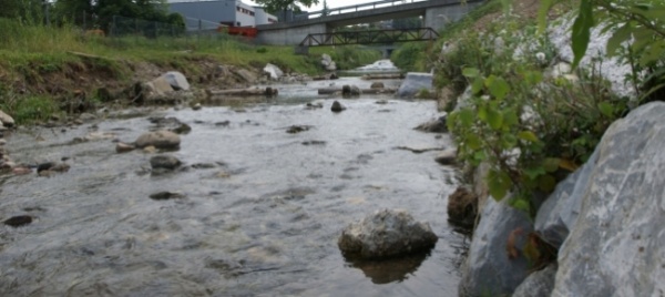 fuori-le-idee-per-il-fiume-laveggio