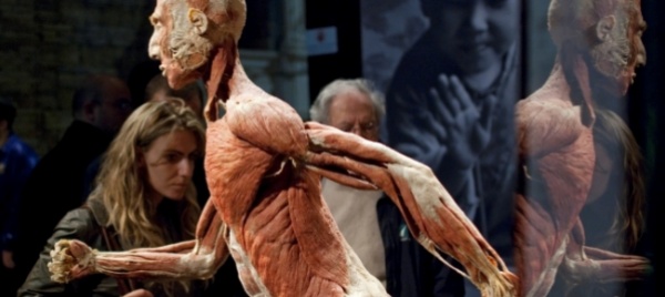 cadaveri-siliconati-esposizione-non-autorizzata-a-losanna