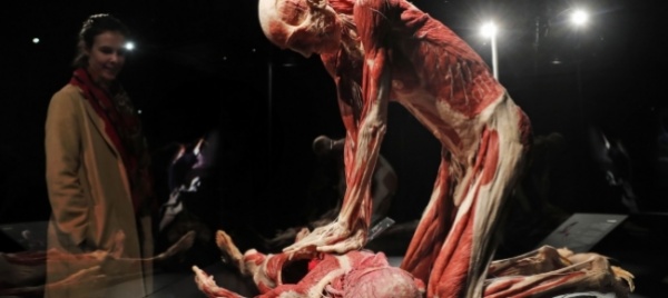 mostra-di-cadaveri-plastinati-arriva-il-divieto