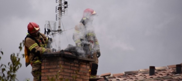 nido-di-calabroni-causa-un-principio-d-incendio