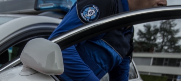 locarno-sequestrati-21-cani-reclusi-in-un-appartamento