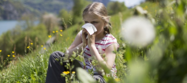 pollini-in-tempo-reale-con-la-app-ally-science